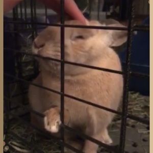 Meet your Posher, Will